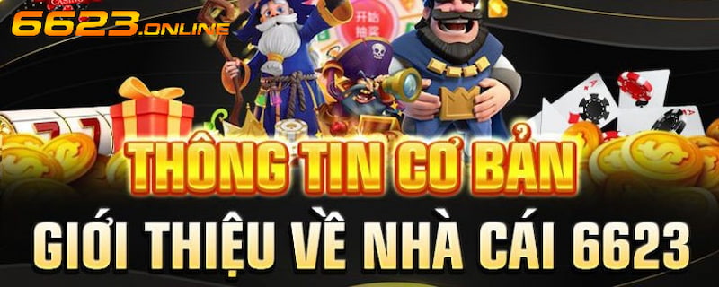 Lịch sử phát triển đáng tự hào của giới thiệu 6623